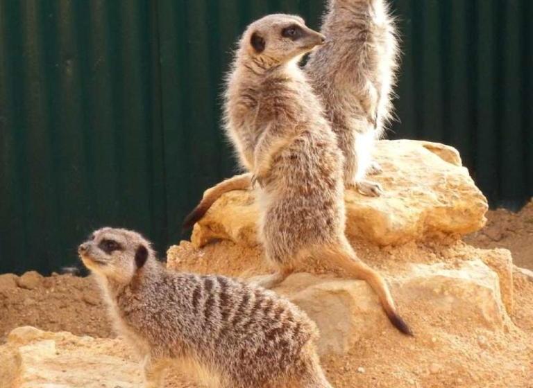 فندق Centre Algarve