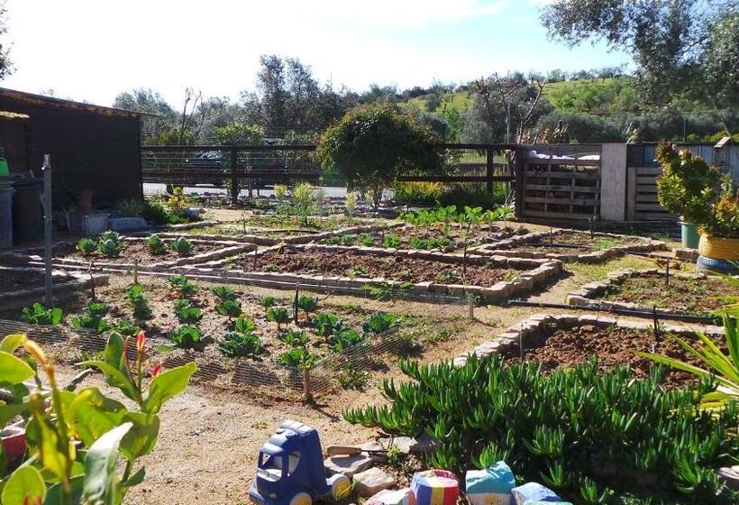 فندق Centre Algarve