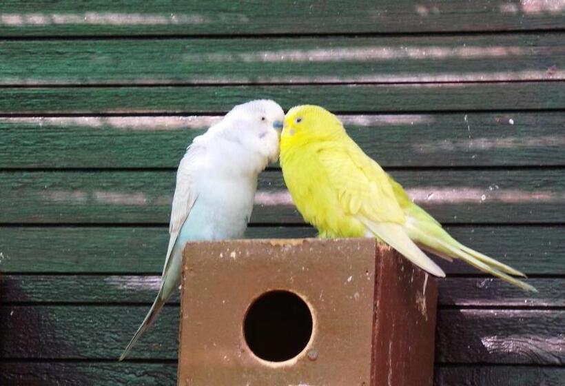 فندق Centre Algarve