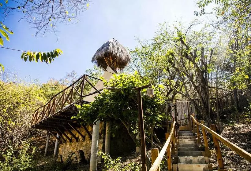 ホテル El Copal