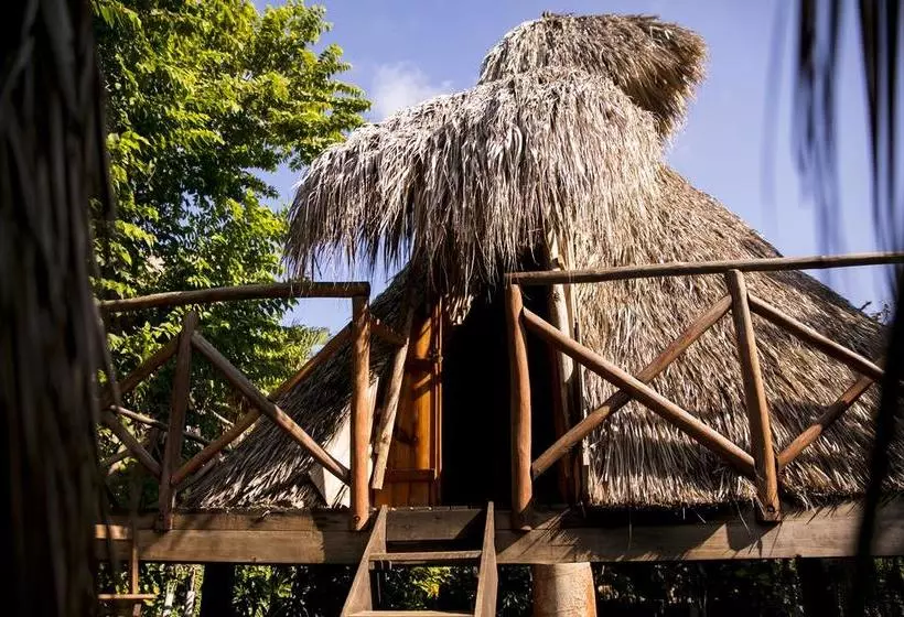ホテル El Copal