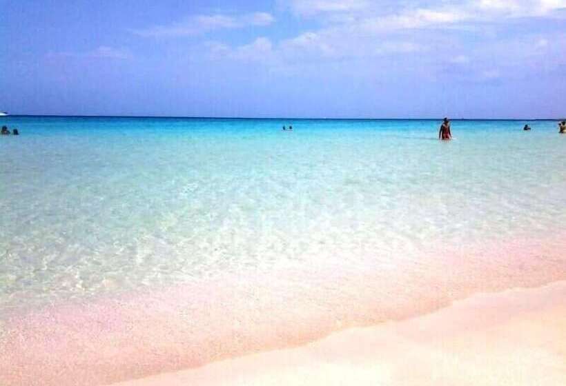 فندق Ristorante Mediterraneo Faro