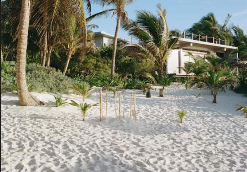 Szálloda Lula Seaside Boutique