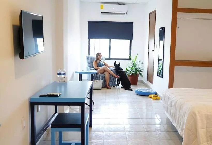 هتل & Suites Arges  Centro Chetumal