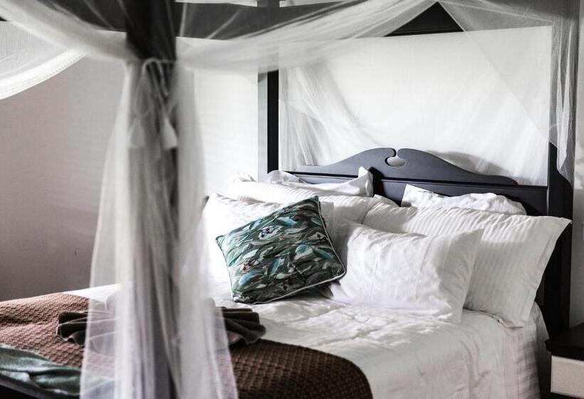 Отель The Bearded Dragon Boutique