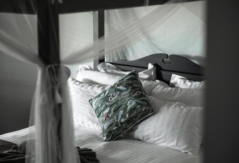 Отель The Bearded Dragon Boutique