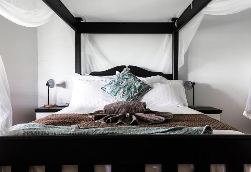 Отель The Bearded Dragon Boutique