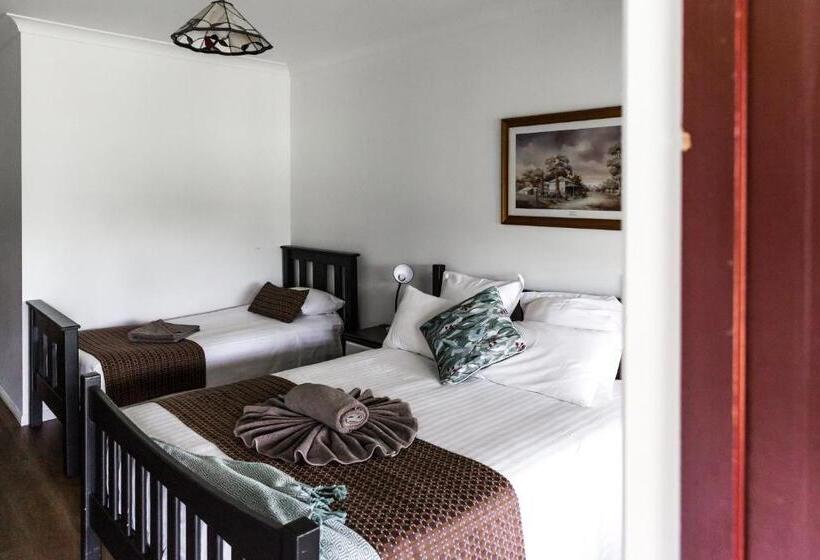 Отель The Bearded Dragon Boutique