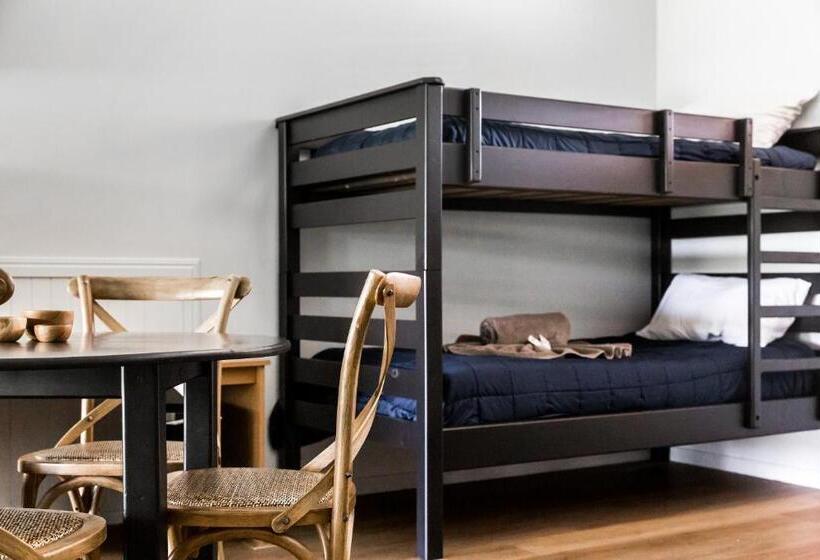 Отель The Bearded Dragon Boutique