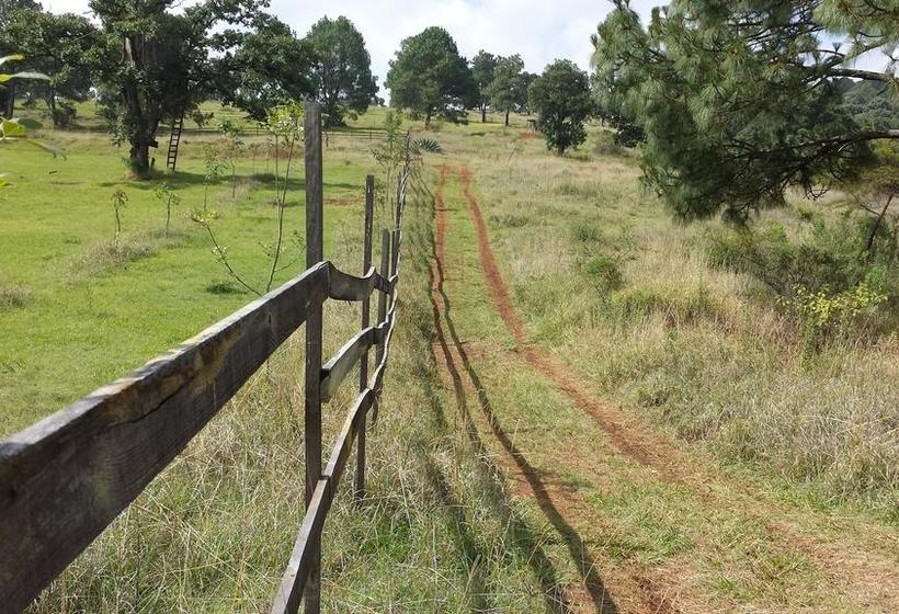 בית מלון כפרי La Vieja Casona