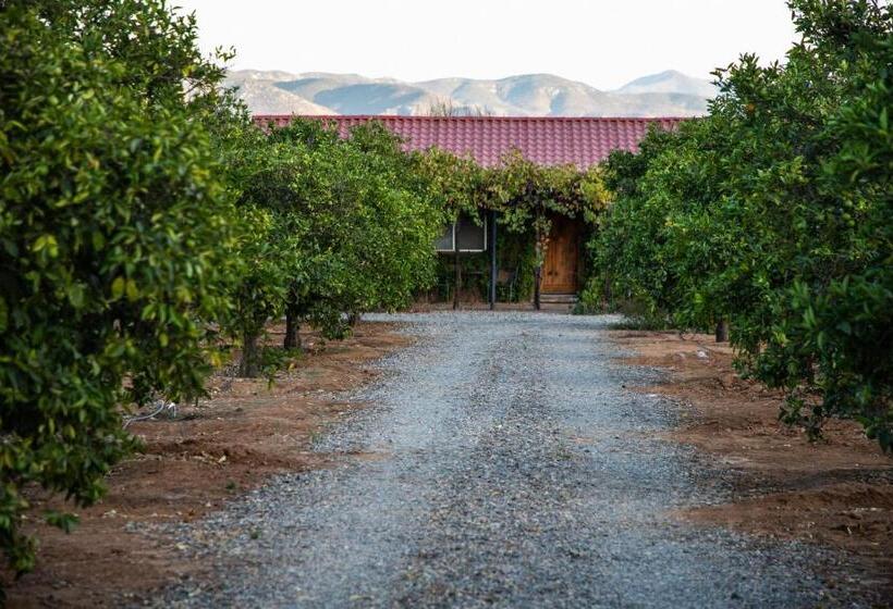 Terra Del Valle Bed & Breakfast