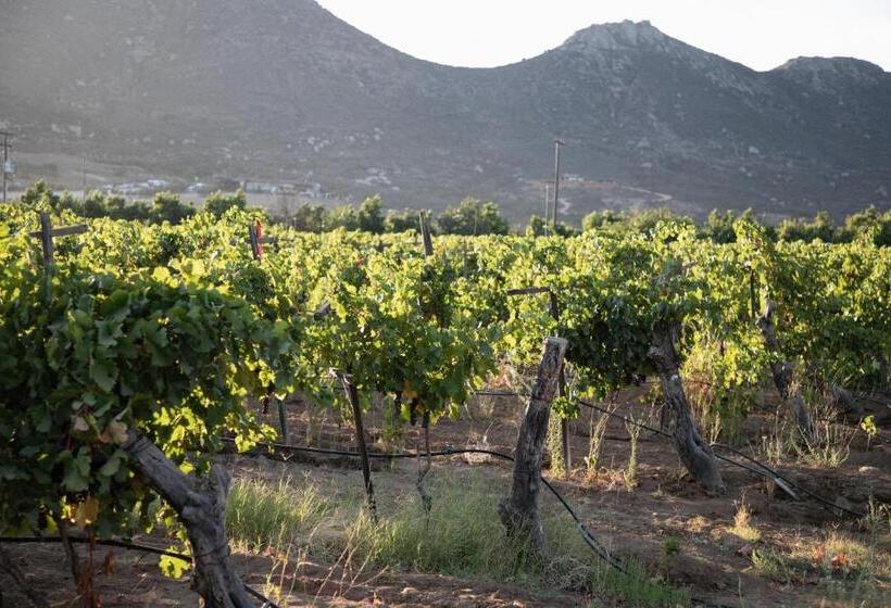 Terra Del Valle Bed & Breakfast