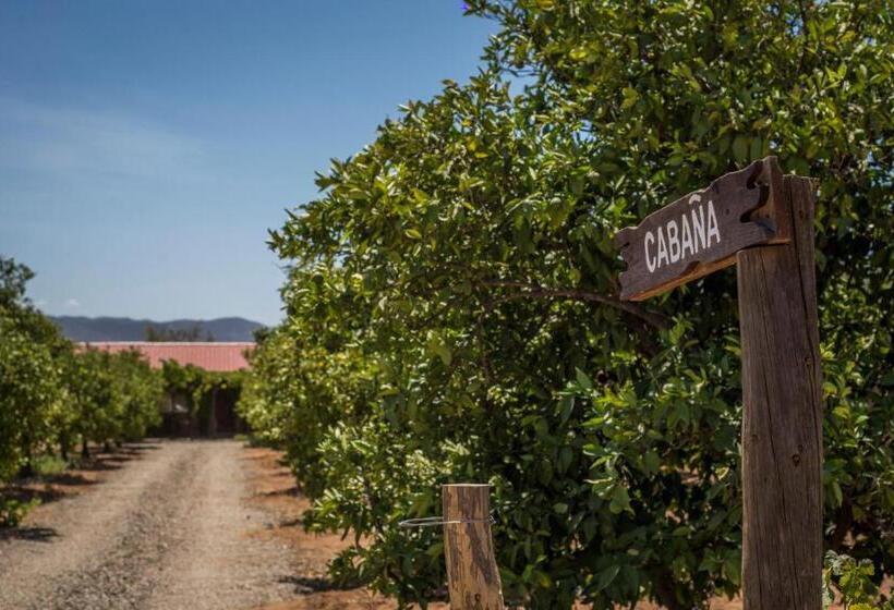 Terra Del Valle Bed & Breakfast