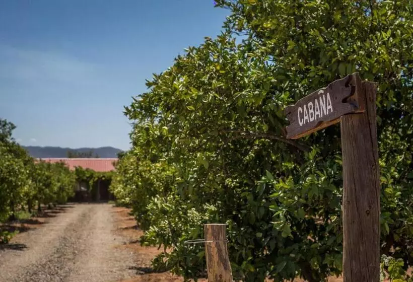 Terra Del Valle Bed & Breakfast
