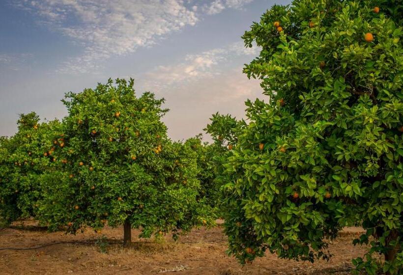 Terra Del Valle Bed & Breakfast