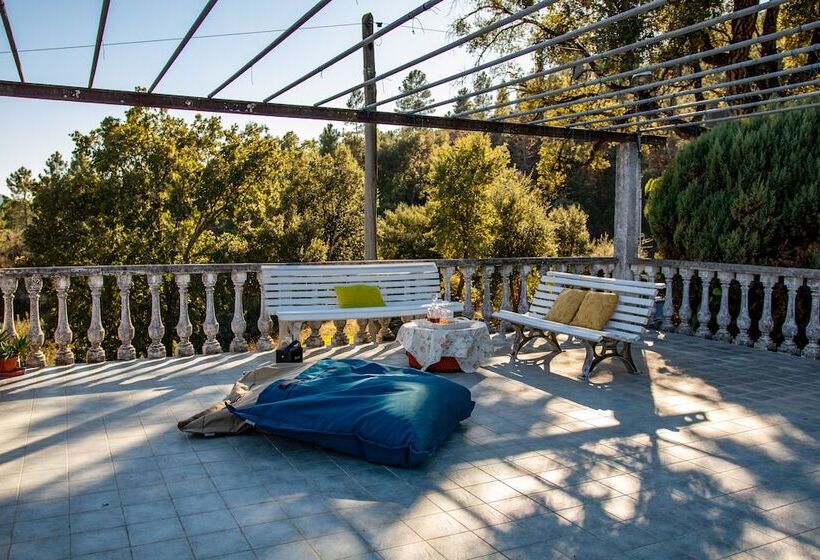 تختخواب و صبحانه Quinta Dos Sinçais