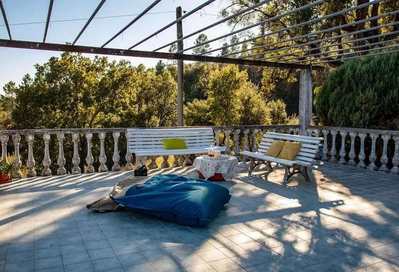 تختخواب و صبحانه Quinta Dos Sinçais