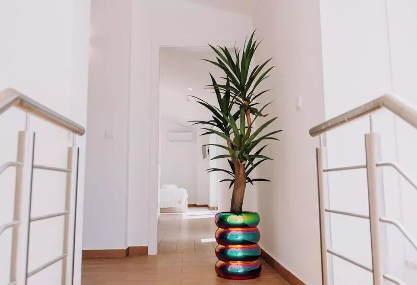 تختخواب و صبحانه Quinta Dos Sinçais