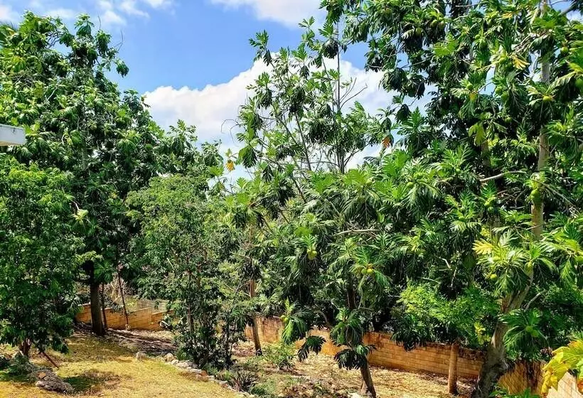 پانسیون Cozy Apartment Greenwood