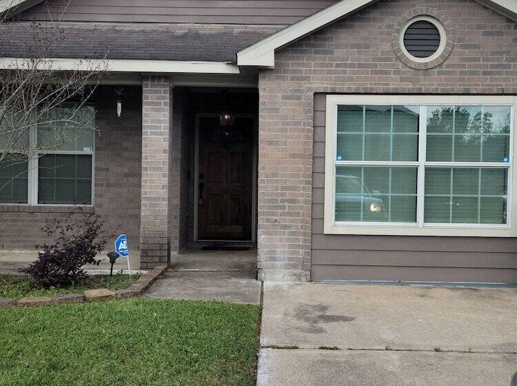 Cute And Cozy Hostel