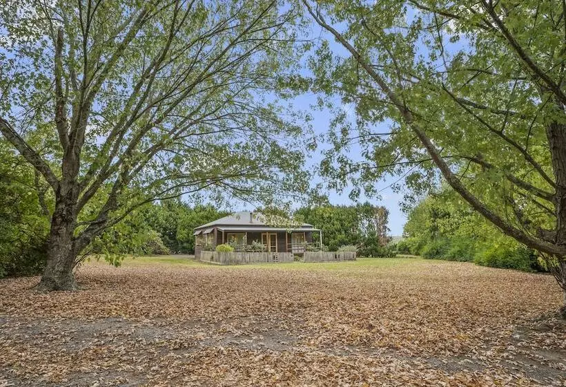 Stayau Conifer Cottage Lakeside Haven