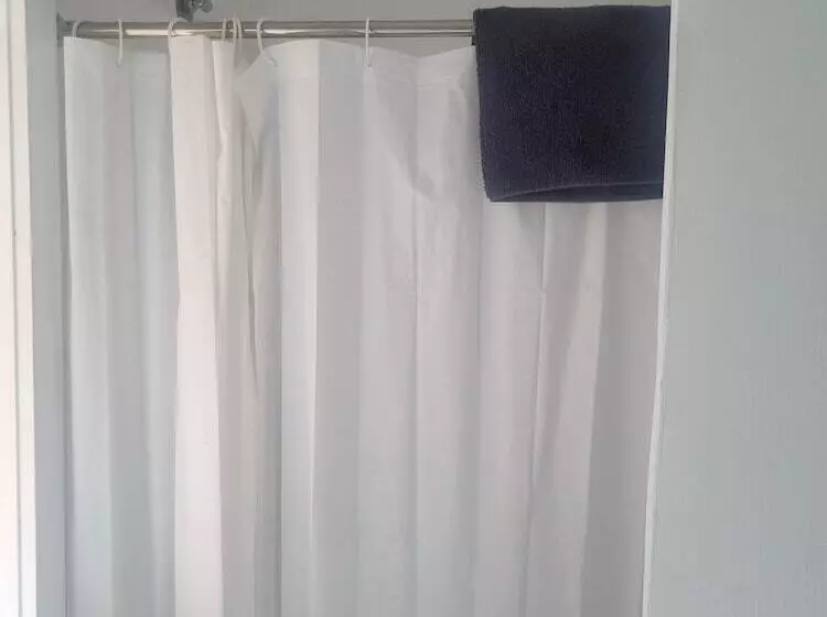 Commercial Hotel Young