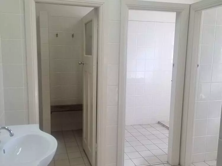 Commercial Hotel Young