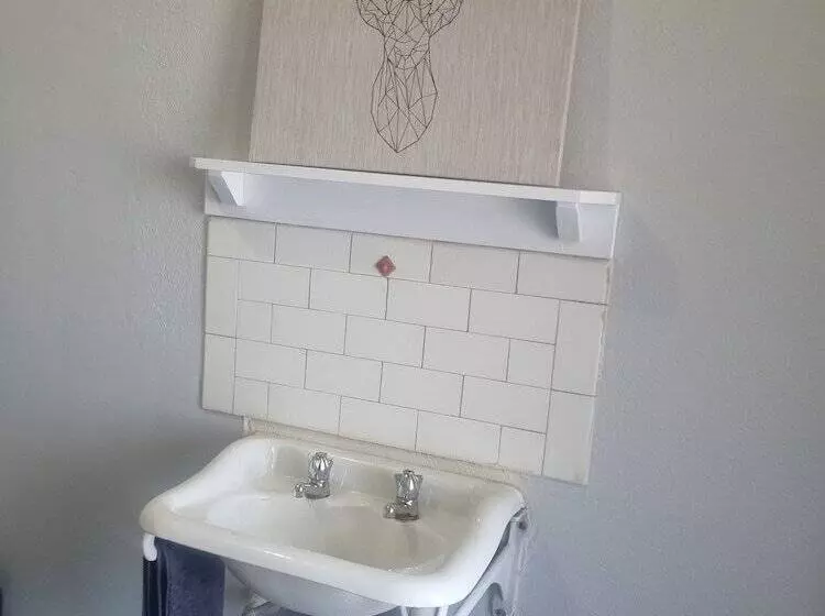 Commercial Hotel Young