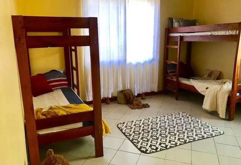 هاستل Arusha Jambo House