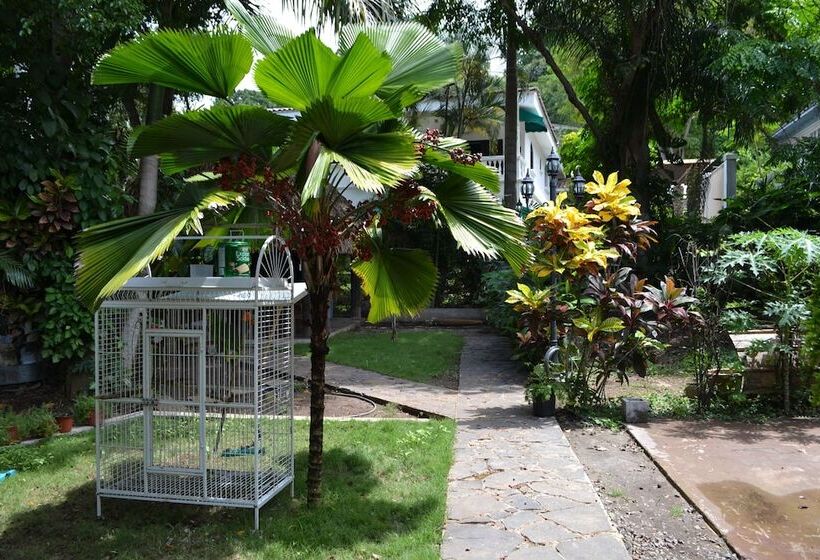 Bed and Breakfast The Balboa Inn