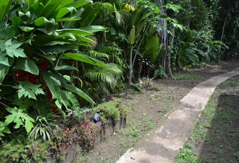 Bed and Breakfast The Balboa Inn