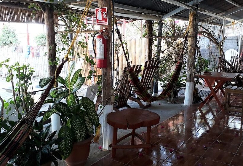 Hostel Tadeo San Juan Del Sur