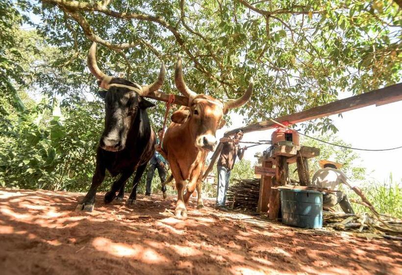 هتل De Campo Villa De Ada