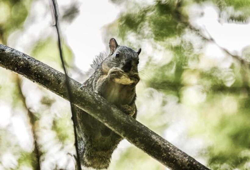 هتل De Campo Villa De Ada