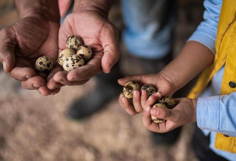 هتل De Campo Villa De Ada