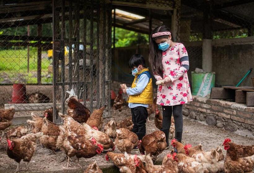 هتل De Campo Villa De Ada