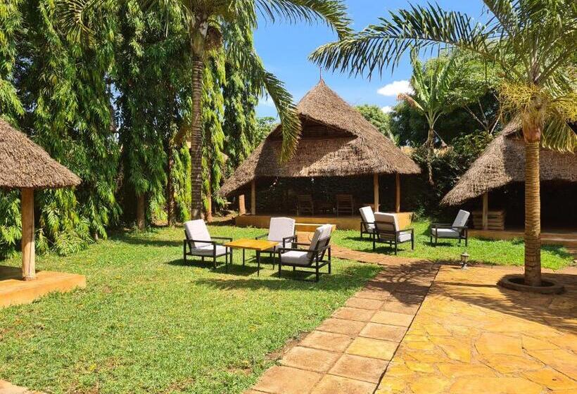 هتل Honey Badger Lodge