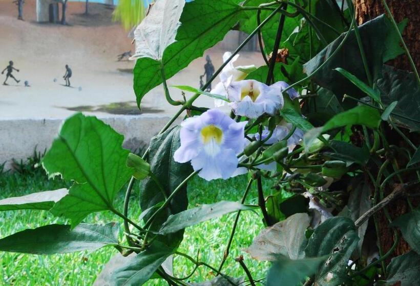 هتل Honey Badger Lodge