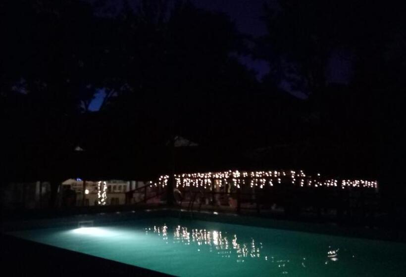 هتل Honey Badger Lodge