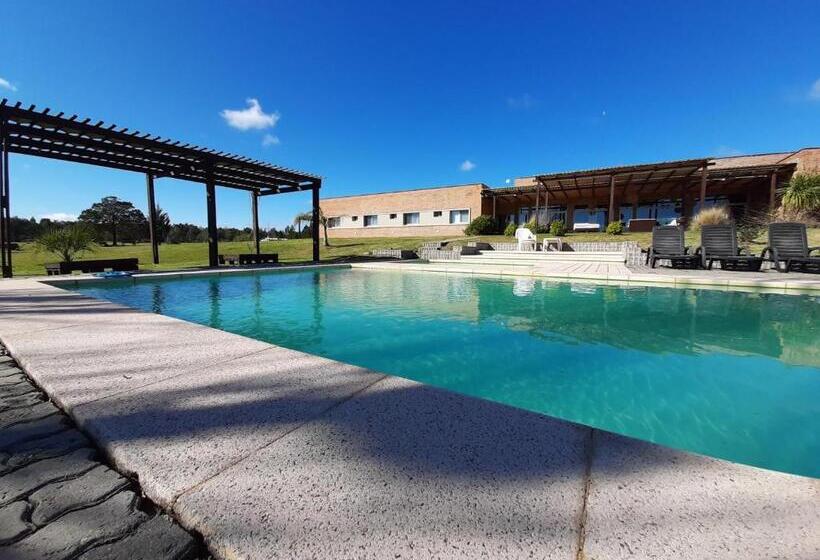 Hotel Juana De Ibarbourou