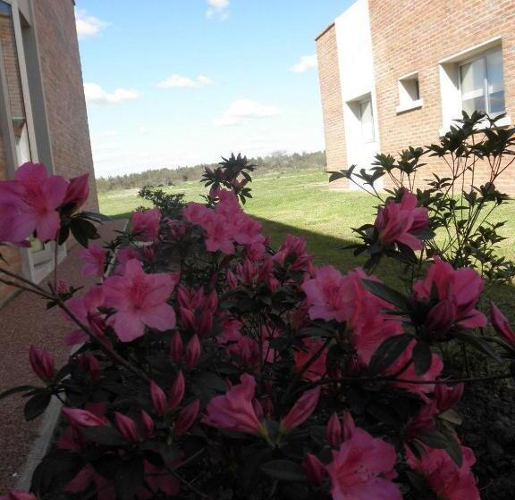 Hotel Juana De Ibarbourou