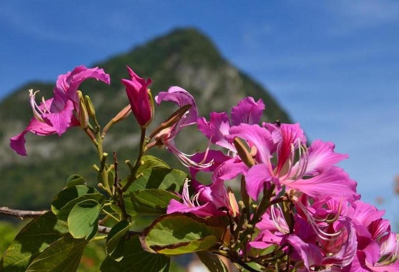 هتل Tet Rouge Resort