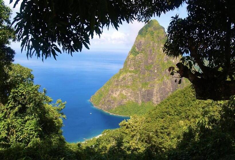 هتل Tet Rouge Resort