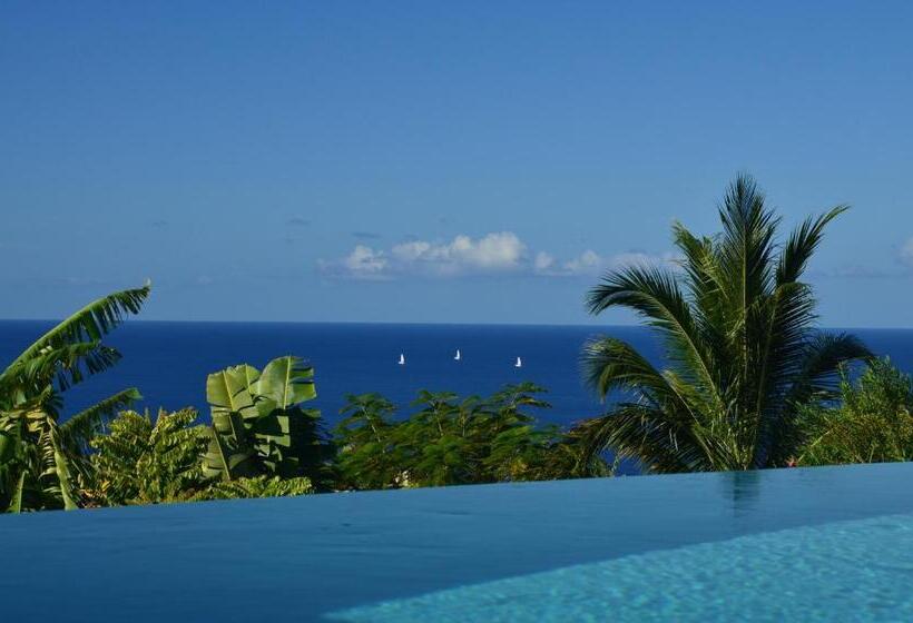 هتل Tet Rouge Resort