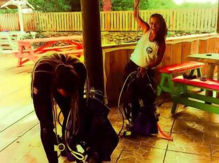 The Venue   Utila   Hostel