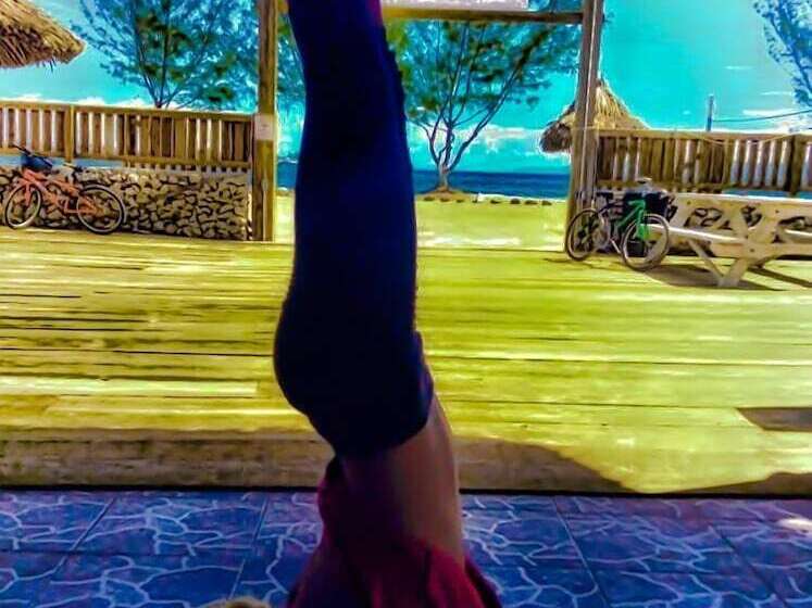 The Venue   Utila   Hostel