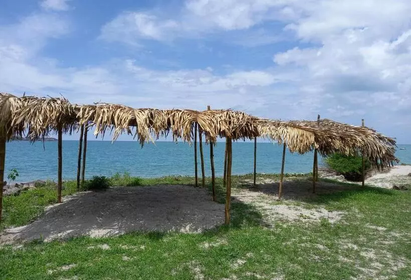 Togo B&b Farallon