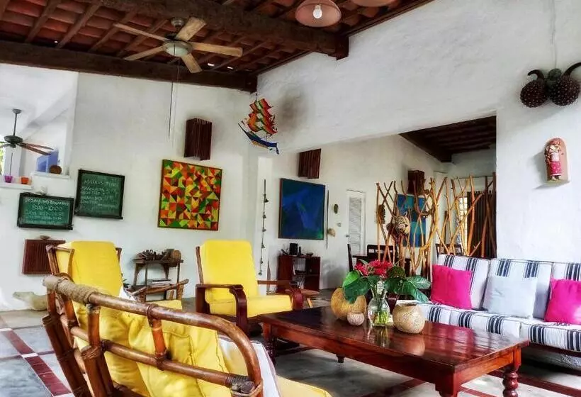 Togo B&b Farallon