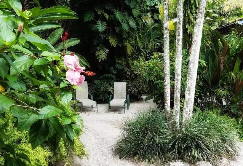 Togo B&b Farallon
