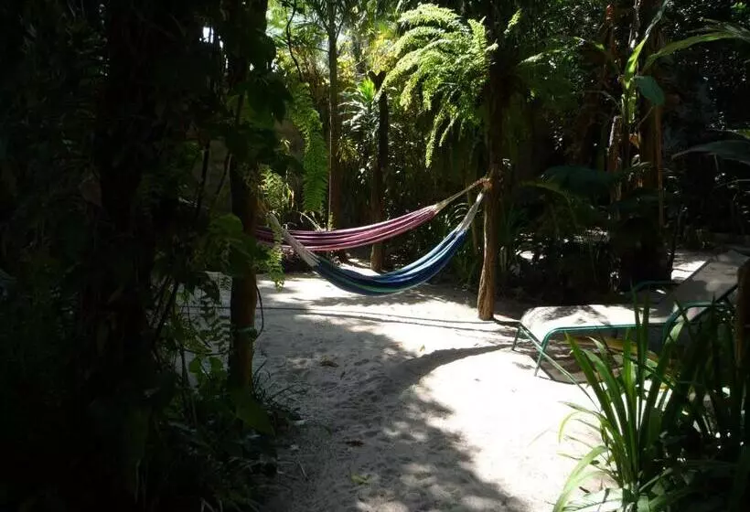 Togo B&b Farallon